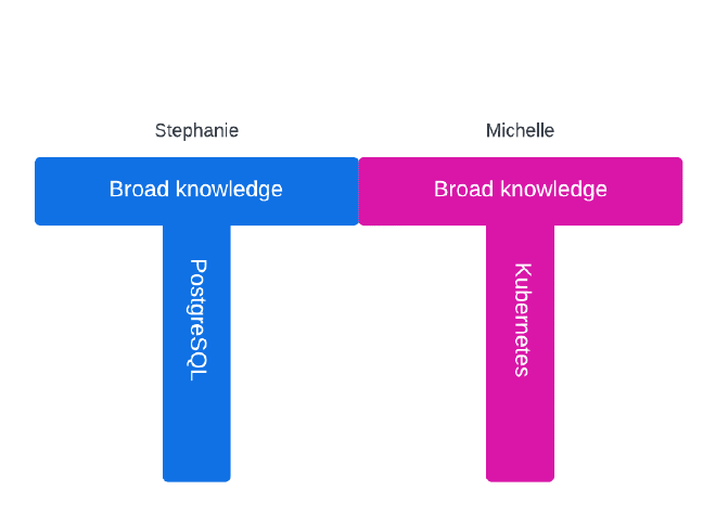 T-shaped profiles working together